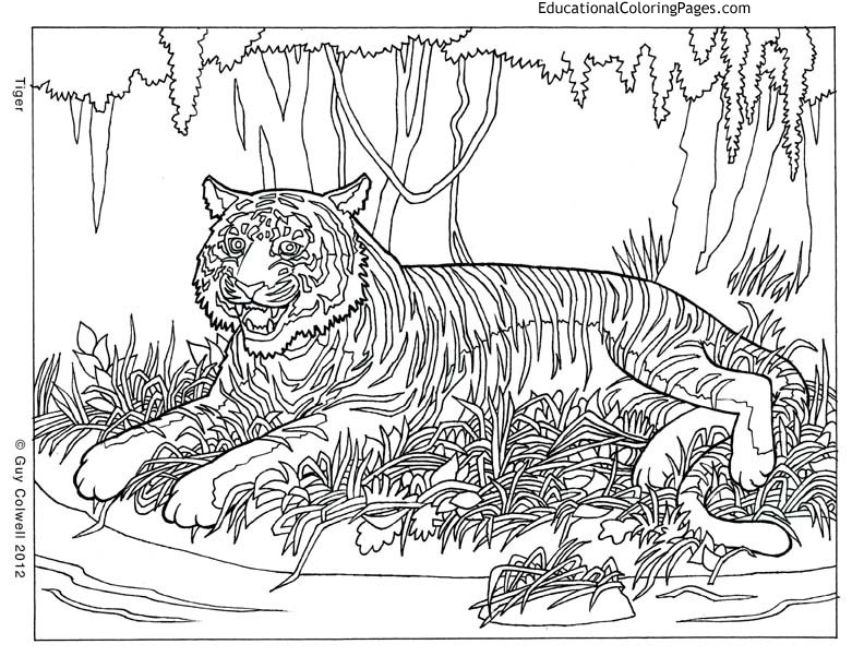 Coloring Pages For Adults Difficult Animals
