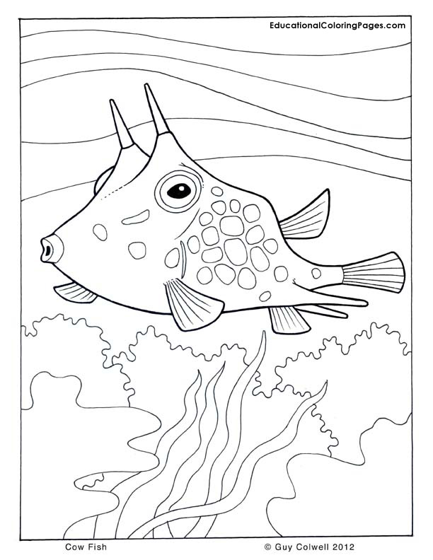 ocean fish coloring pages - photo #20