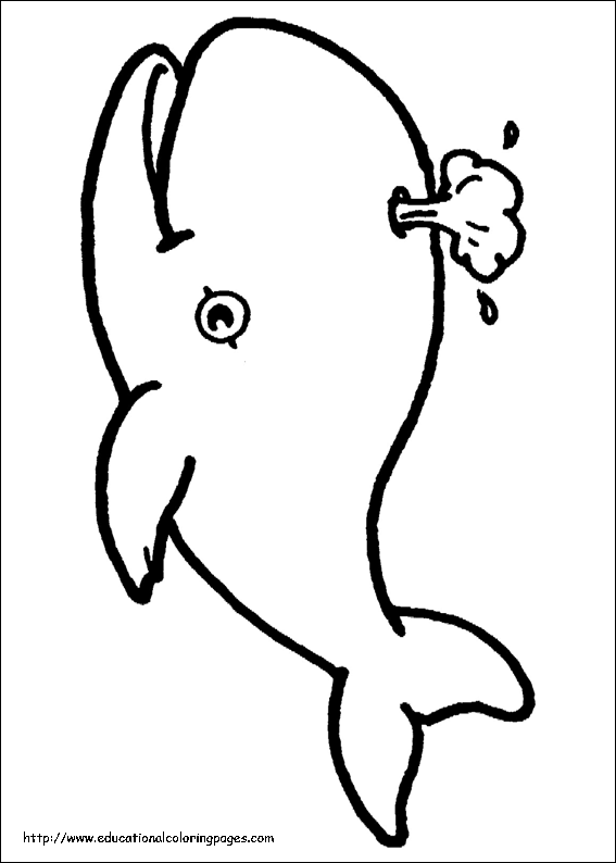 ocean animal coloring pages for preschoolers - photo #42