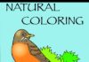 natural_coloring_book