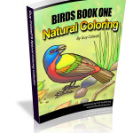 Birds1_400
