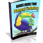 Birds2_400