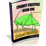 Crawly1_4001