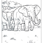 Elephant-Family
