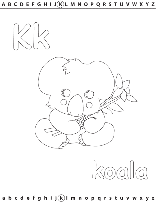 K_koala