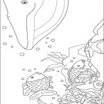 Rainbow_Fish_09