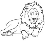 animal_02