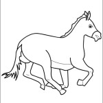 animal_04