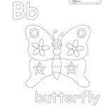 b_butterfly