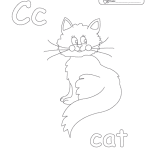 c_cat