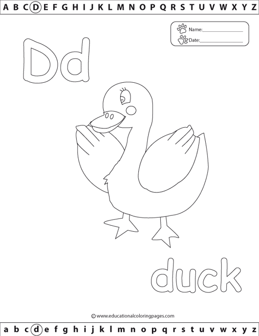 d_duck