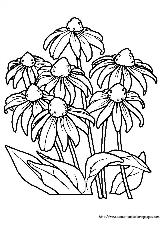 flower coloring printable children power without flower4