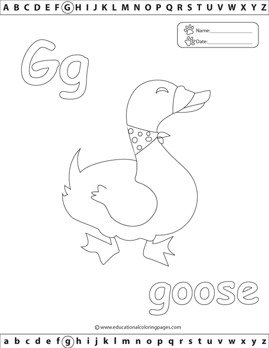 g_goose
