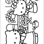 hello_kitty05