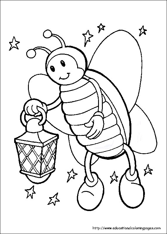 insect8