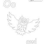 o_owl
