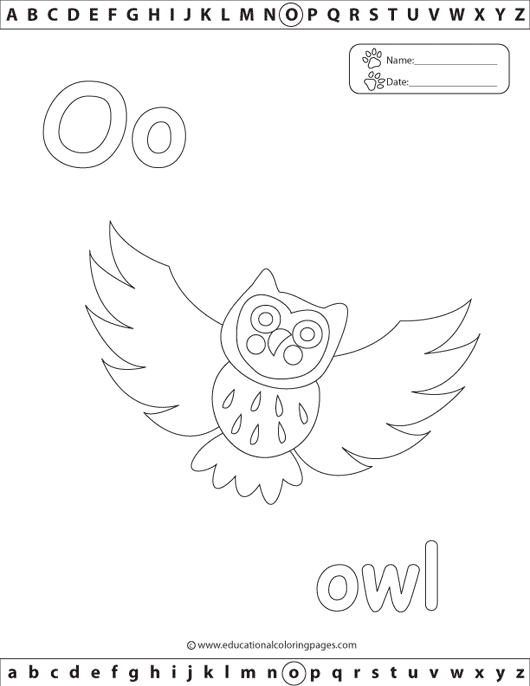 o_owl
