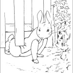 peter_rabbit01