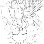 peter_rabbit03
