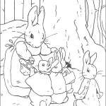 peter_rabbit09