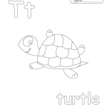 t_turtle