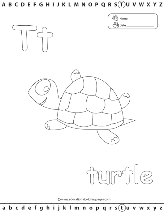 t_turtle