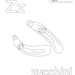 z_zucchni