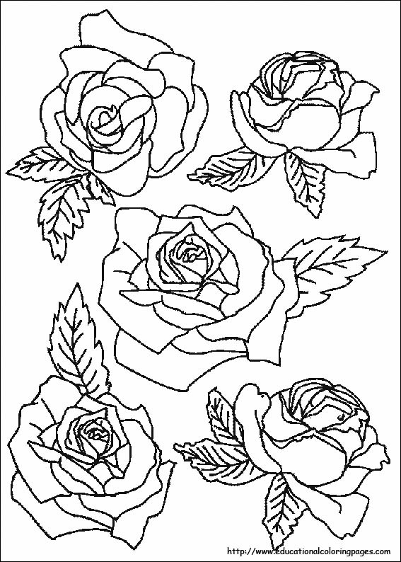 Nature Coloring Pages   Educational Fun Kids Coloring Pages and ...