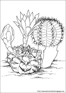 Nature Coloring Pages - Educational Fun Kids Coloring Pages and