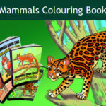 mammals coloring